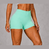 NVC Sculpt 3-Inch Shorts – Women’s Sculpting Workout Shorts